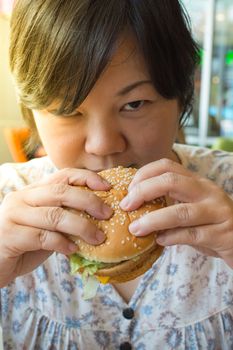 Asia woman plump body eating a hamburger is a unhealthy food at fastfood , process in soft orange sun light style