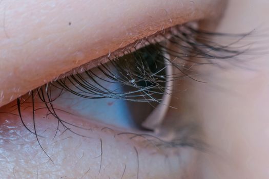 Macro of eye black color of asia human