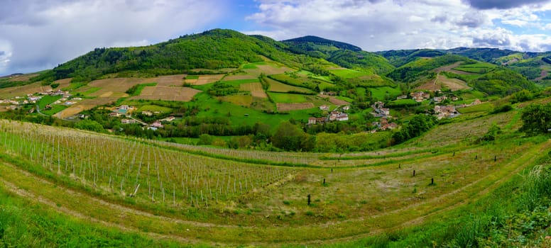 Panoramic landscape of vineyards and countryside in Beaujolais, Rhone department, France