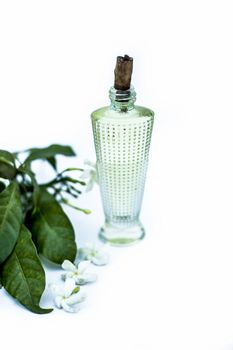 Close up of spray or perfume of Indian jasmine flower or juhi or Jasminum Auriculatum isolated on white in a small bottle with raw flowers.