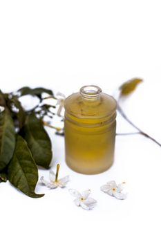 Close up of essential oil of Indian jasmine flower or juhi or Jasminum Auriculatum isolated on white in a small transparent glass bottle with raw flowers.