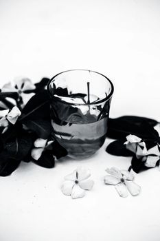 White colored flowers with its extracted in a transparent glass isolated on white along with leaves of flowers.