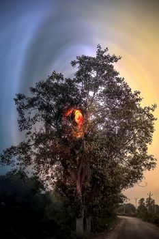 Sunset time shot of tree and sun with colorful clouds.