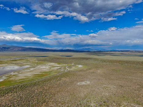 Aerial view of herd of cows in green meadow with mountain on the background. Cows cattle grazing on a mountain pasture next the Lake Crowley, Eastern Sierra, Mono County, California, USA. 