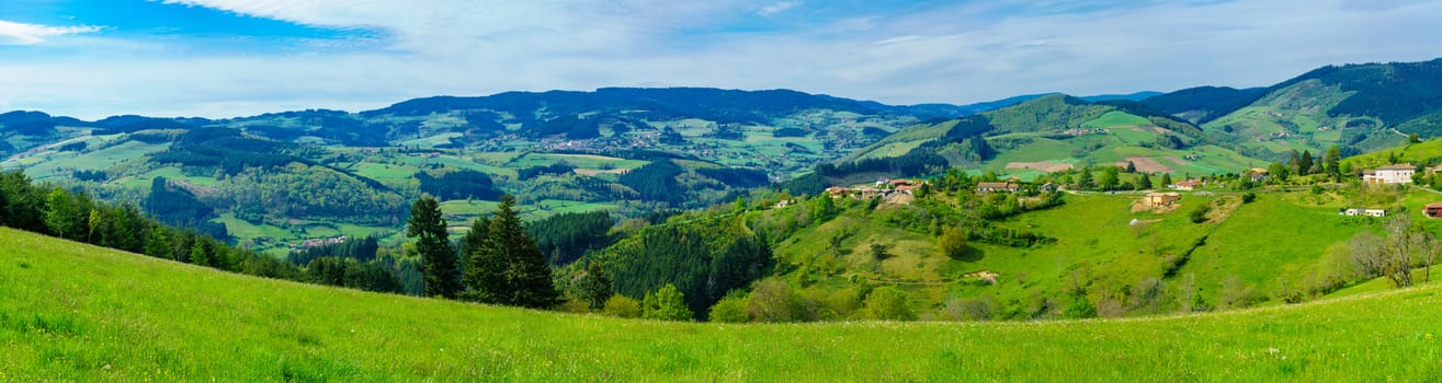 Panoramic landscape view at sunrise of vineyards and countryside in Beaujolais, Rhone department, France