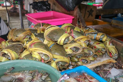 Pattern of fresh crabs selling on a seafood counter in Jimbaran. Pasar Ikan Kedonganan - Bali beach. Fresh crabs on the local fish market. Bunch of fresh crabs in plastic carrier for sale.