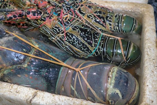 Fresh seafood for sale at Pasar Ikan Kedonganan in Jimbaran, Bali, Indonesia. Fresh lobsters selling fish in Kedonganan. Fresh lobsters on ice for sale on a seafood counter.