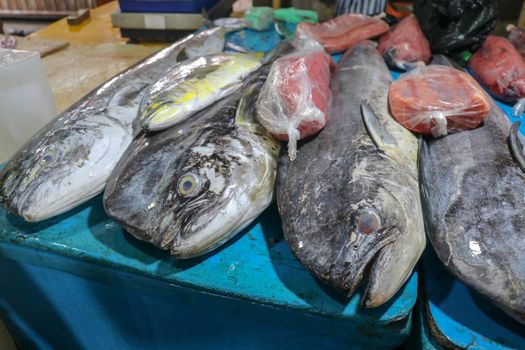 Selling fresh seafood fish on the tourist attraction local market in Jimbaran, Bali Island. Fresh fish for sale. Dorado dolphin fish also known as mahi-mahi or Coryphaena Hippurusl on the countertop.
