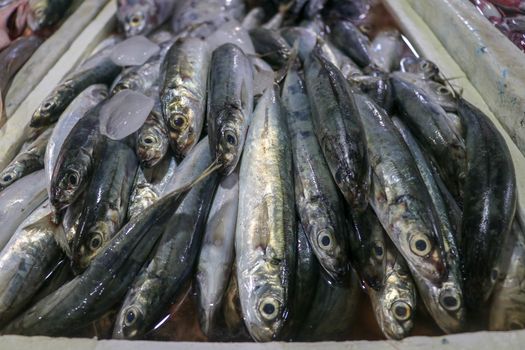 Fresh seafood on ice at the fish market. Fresh fish selling in the fish market in Jimbaran - Traditional local Pasar Ikan Kedonganan. Exotic fishes in Jimbaran fish market in Bali beach