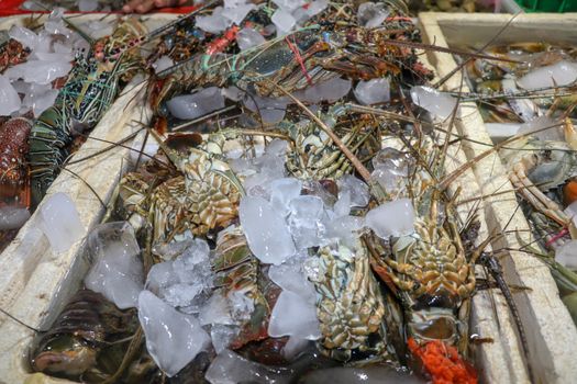 Fresh seafood for sale at Pasar Ikan Kedonganan in Jimbaran, Bali, Indonesia. Fresh lobsters selling fish in Kedonganan. Fresh lobsters on ice for sale on a seafood counter.