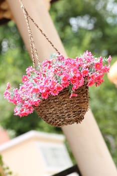 Pink flower basket to hang to decorate the place