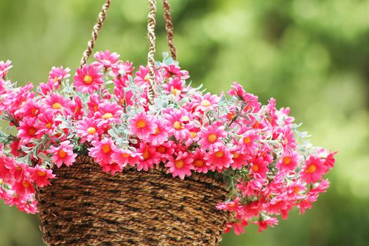 Pink flower basket to hang to decorate the place