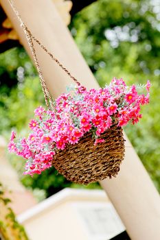 Pink flower basket to hang to decorate the place