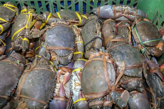 Pattern of fresh crabs selling on a seafood counter in Jimbaran. Pasar Ikan Kedonganan - Bali beach. Fresh crabs on the local fish market. Bunch of fresh crabs in plastic carrier for sale.
