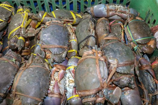 Pattern of fresh crabs selling on a seafood counter in Jimbaran. Pasar Ikan Kedonganan - Bali beach. Fresh crabs on the local fish market. Bunch of fresh crabs in plastic carrier for sale.