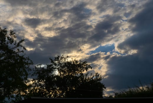 sunset sky and clouds and tree branches natural light