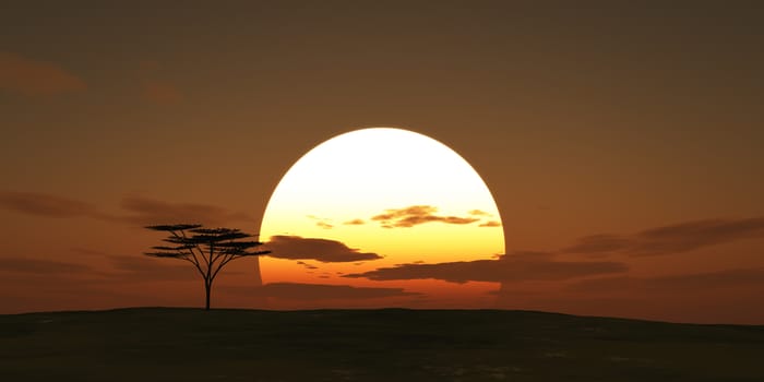 big sun sunset tree landscape, 3d illustrations