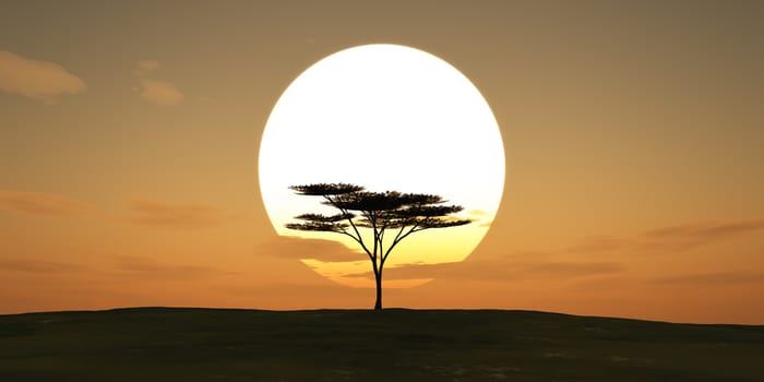 big sun sunset tree landscape, 3d illustrations