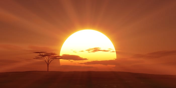 big sun sunset tree landscape, 3d illustrations