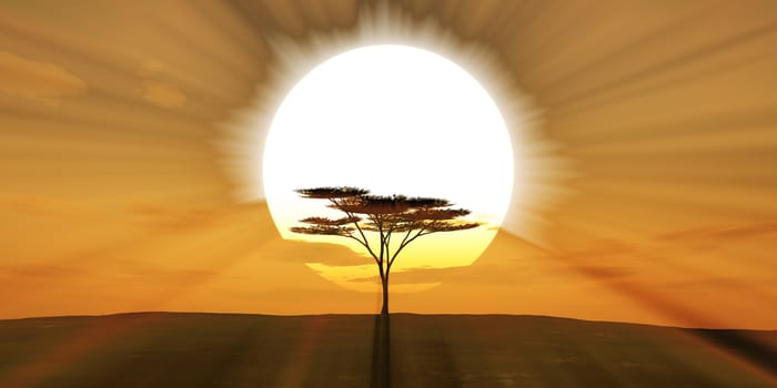 big sun sunset tree landscape, 3d illustrations