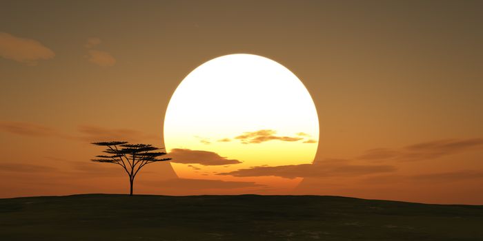 big sun sunset tree landscape, 3d illustrations