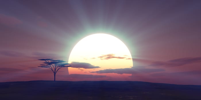 big sun sunset tree landscape, 3d illustrations