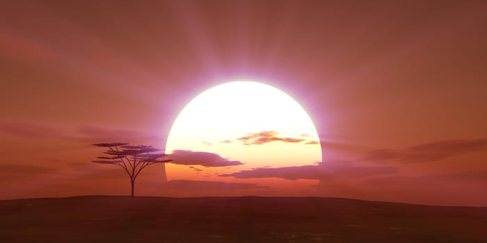 big sun sunset tree landscape, 3d illustrations