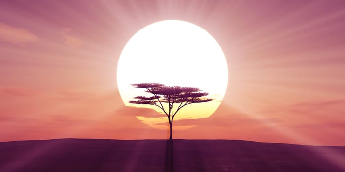 big sun sunset tree landscape, 3d illustrations