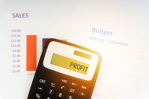 A calculator with the word PROFIT on the display. Selective focus and crop fragment