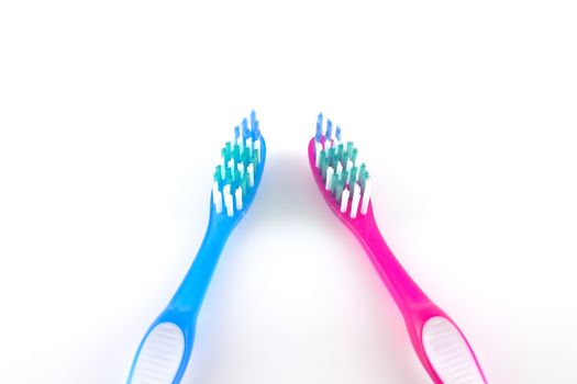 Two tooth-brushes over white