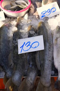 Sea bass arranged in a tray With a price tag