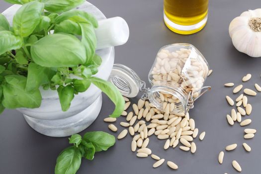 Pine nuts and other pesto sauce ingredients