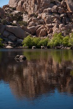 Rocks reflection in the lake, Joshua Tree National Park, CA, USA