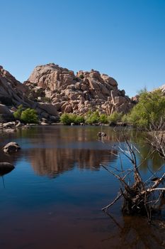 Rocks reflection in the lake, Joshua Tree National Park, CA, USA