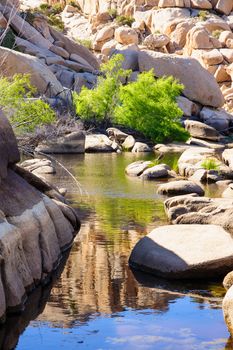 Rocks reflection in the lake, Joshua Tree National Park, CA, USA