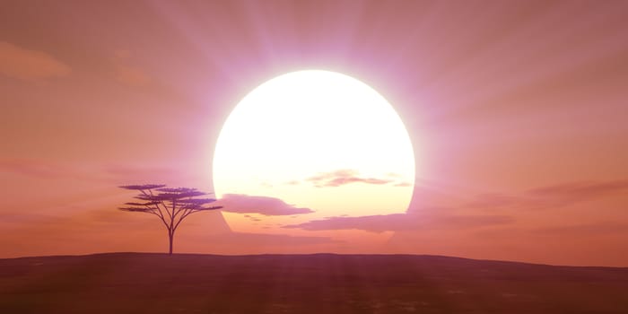 big sun sunset tree landscape, 3d illustrations