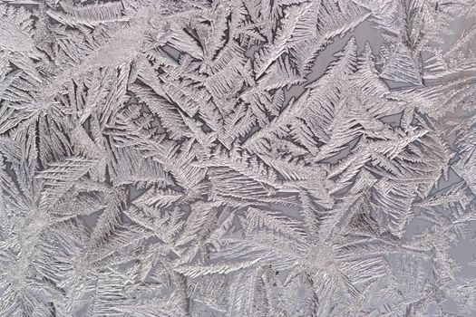 Abstract detail of the frost flower on the window