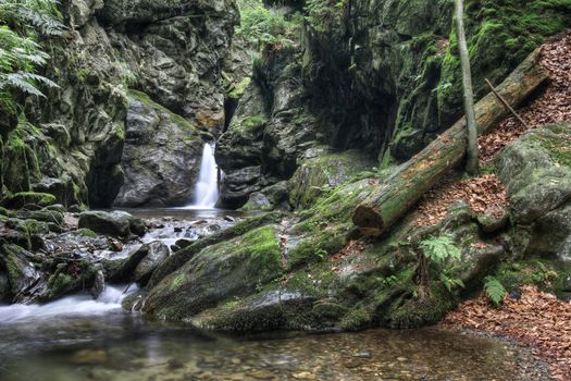 Nyznerov waterfalls on the Siver brook, Czech Republic.
Silver Creek Falls, also Nyznerov waterfalls lies in the village of Upper Skorosice to 12 hectares. It is a canyon gorge with rocky thresholds can generate several waterfalls and cascades. Waterfalls are located 2 km southwest of village Nyznerov and 5 km west of Zulova city.
Waterfalls are made up of cascades and rapids in the romantic gorge Bucina brook above the mouth of the creek, with a total height of 14 meters. The highest grades are 3 meters high. 