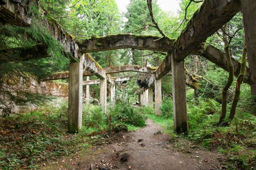 Former war prison camp Rolava. The prison camp Rolava was established during World War II and there was mined and groomed tin ore. Older name was Sauersack. After the war the mine dilapidated and today there are only ruins. Ore Mountains, Czech Republic.