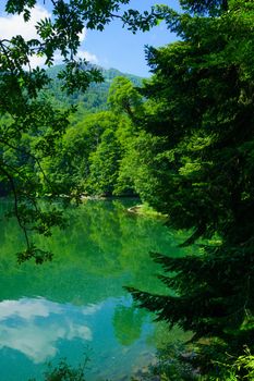 View of Lake Biograd (Biogradsko jezero), Biogradska Gora national park, Montenegro