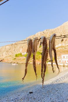 Octopus hang for drying in Gerolimenas, Mani Peninsula, Greece