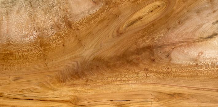 London Plane Timber background