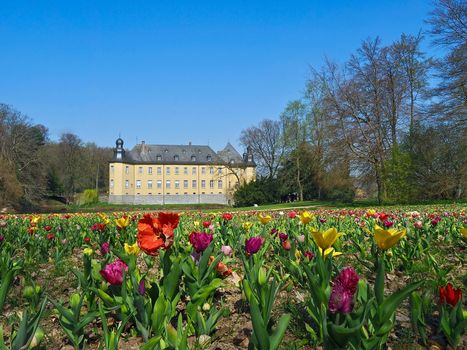 German yellow water castle Schloss Dyck in spring