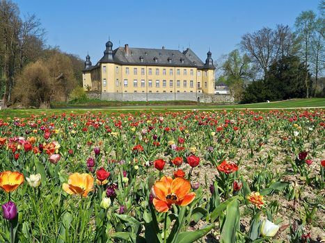 German yellow water castle Schloss Dyck in spring