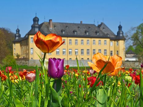 German yellow water castle Schloss Dyck in spring