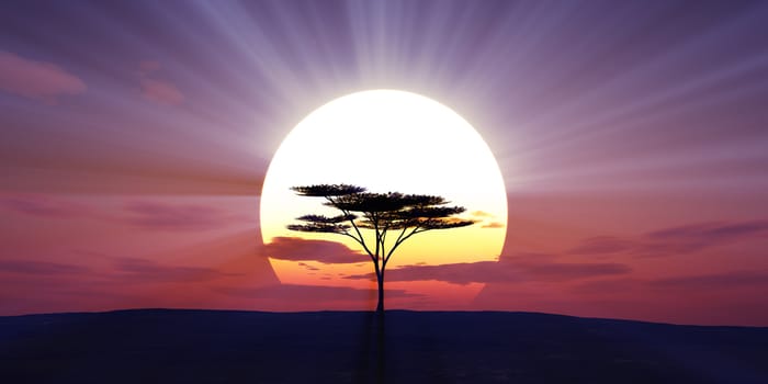 big sun sunset tree landscape, 3d illustrations