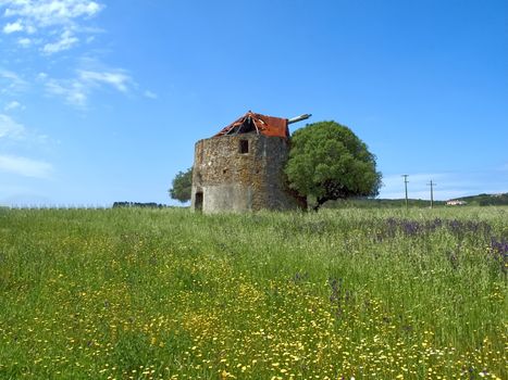 Beautiful Alentejo in Portugal with an old windmill and a red roof near Odeceixe
