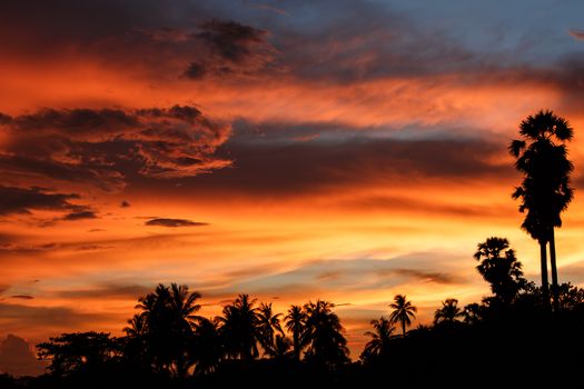 Silhouette in the beautiful evening sky