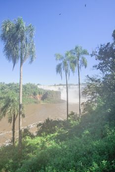 Iguassu National Park, on the border of Argentina and Brazil. Argentinian side