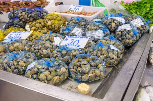 Fresh clams at the fish market in Portugal